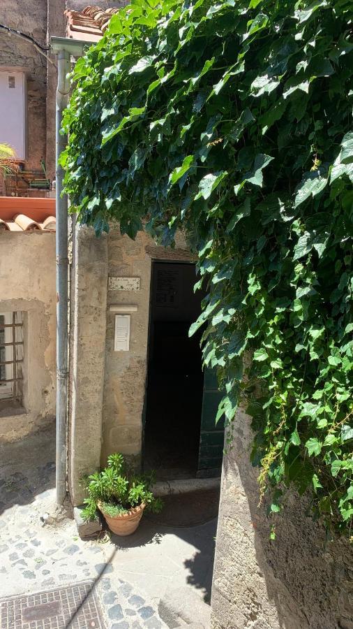 La Casa Sul Lago Anguillara Sabazia Εξωτερικό φωτογραφία