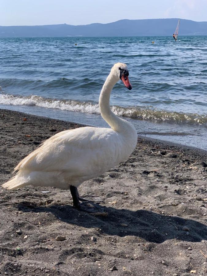 La Casa Sul Lago Anguillara Sabazia Εξωτερικό φωτογραφία